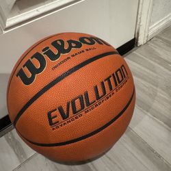 Wilson Evolution Basketball