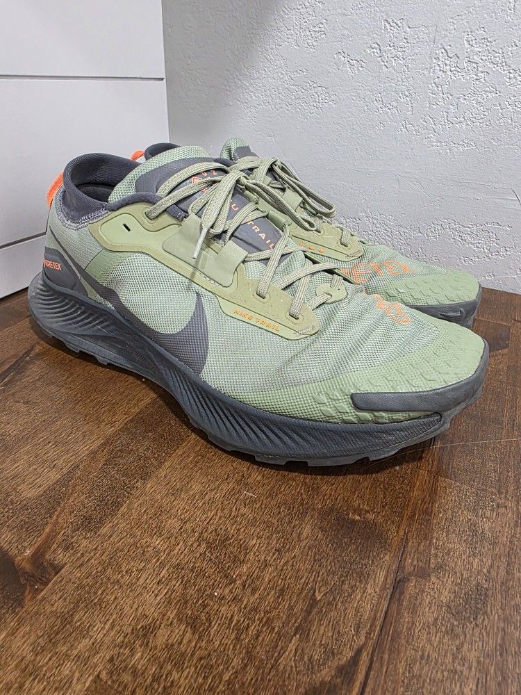 Size 14 Nike Pegasus Trail Gore-Tex
