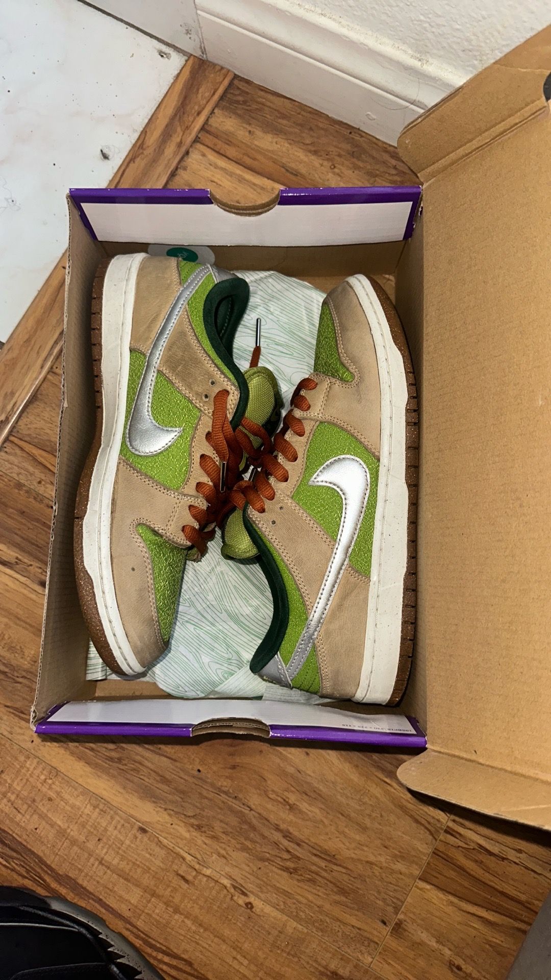 Nike Dunks SB