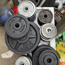 1inch Weight Plates. Different Sizes And Brands