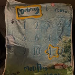 Baby Blue Winnie The Pooh Milestone Blanket