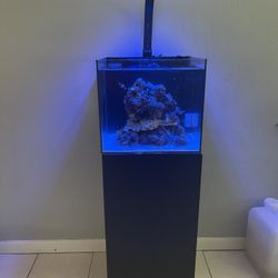 Maxspect Dice AIO Nano Cube Reef Aquarium Fish Tank 12 Gallon