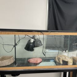 75 gallon reptile tank Setup (READ DESCRIPTION)