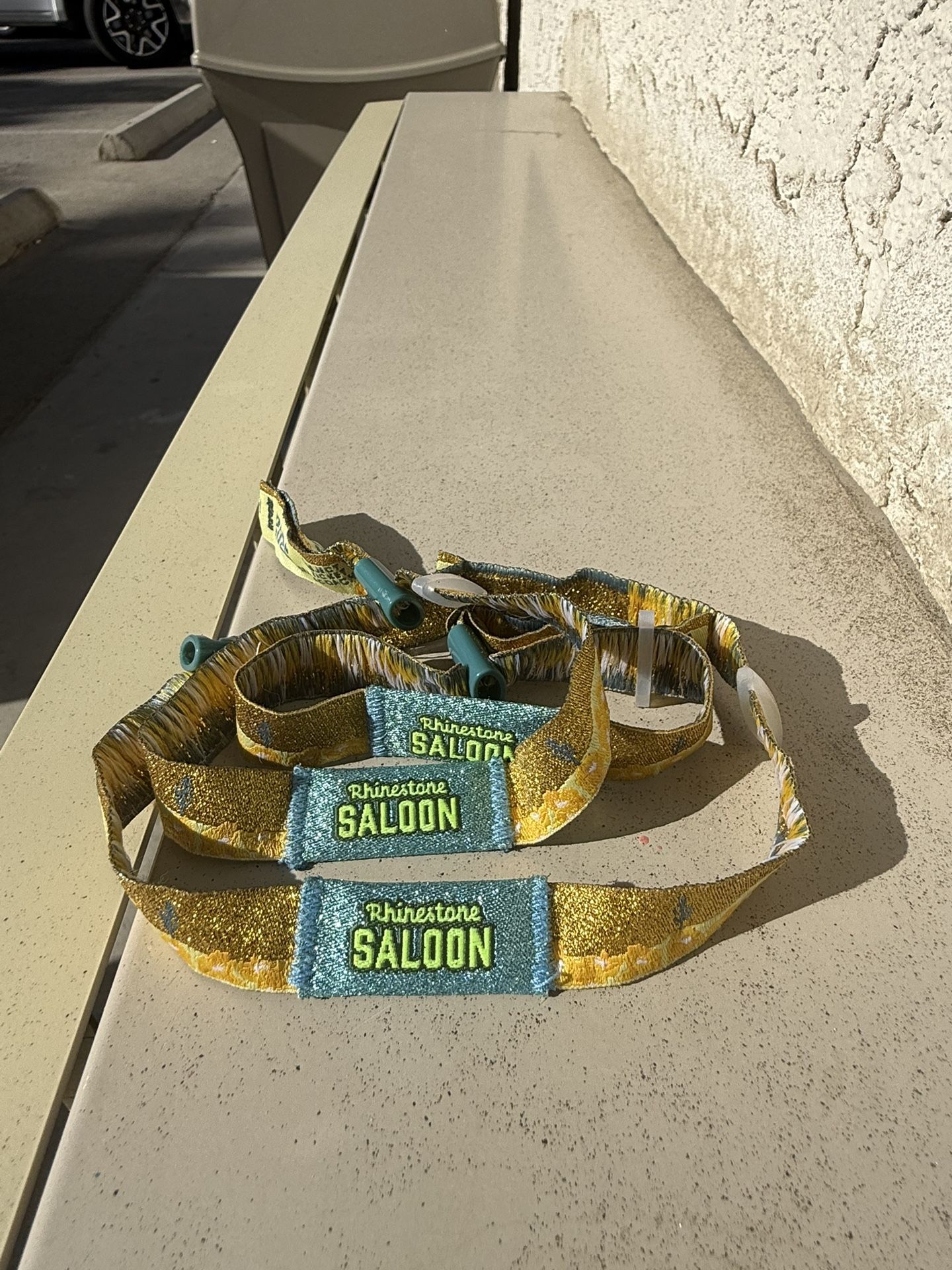 StageCoach 2025 Saloons (Sunday GA)-$350 EACH