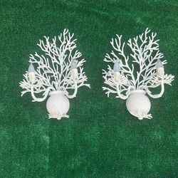 Coral Wall Sconce 