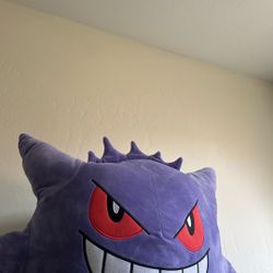 Pokemon Plushie 