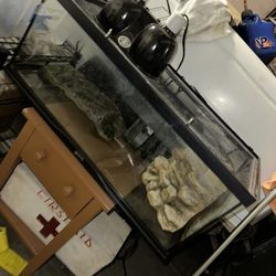 Turtle Tank 20gallon