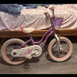 Girl Bike Size 16