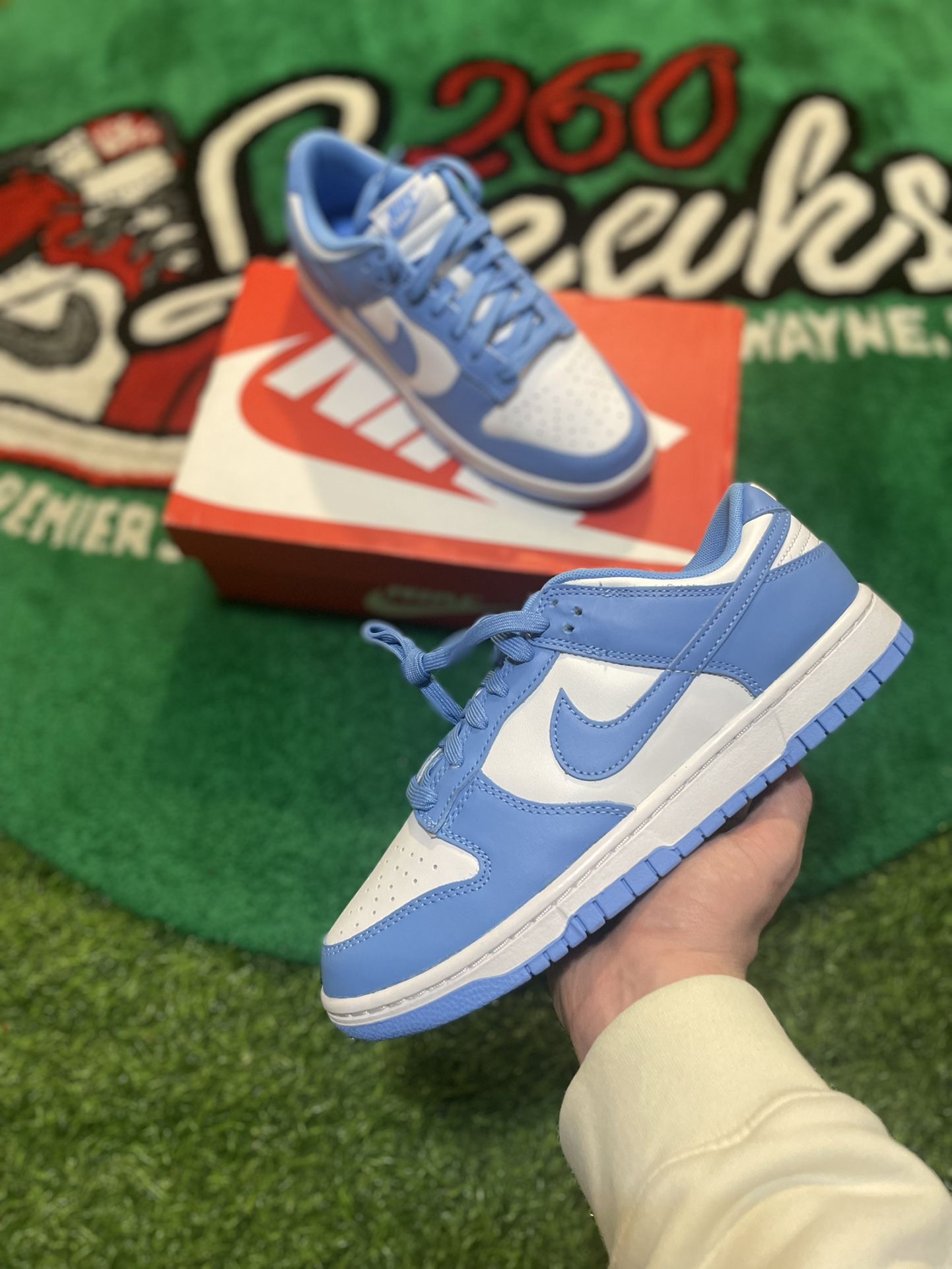 Nike Dunk Low UNC 