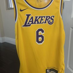 Small Lakers LeBron James jersey worn Once