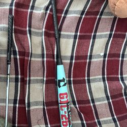 Baseball bat Demarini the goods 2025