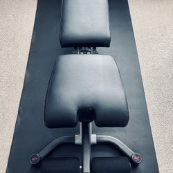 Bowflex 5.1 Adjustable Weight Bench (Like New) + Floor Mat