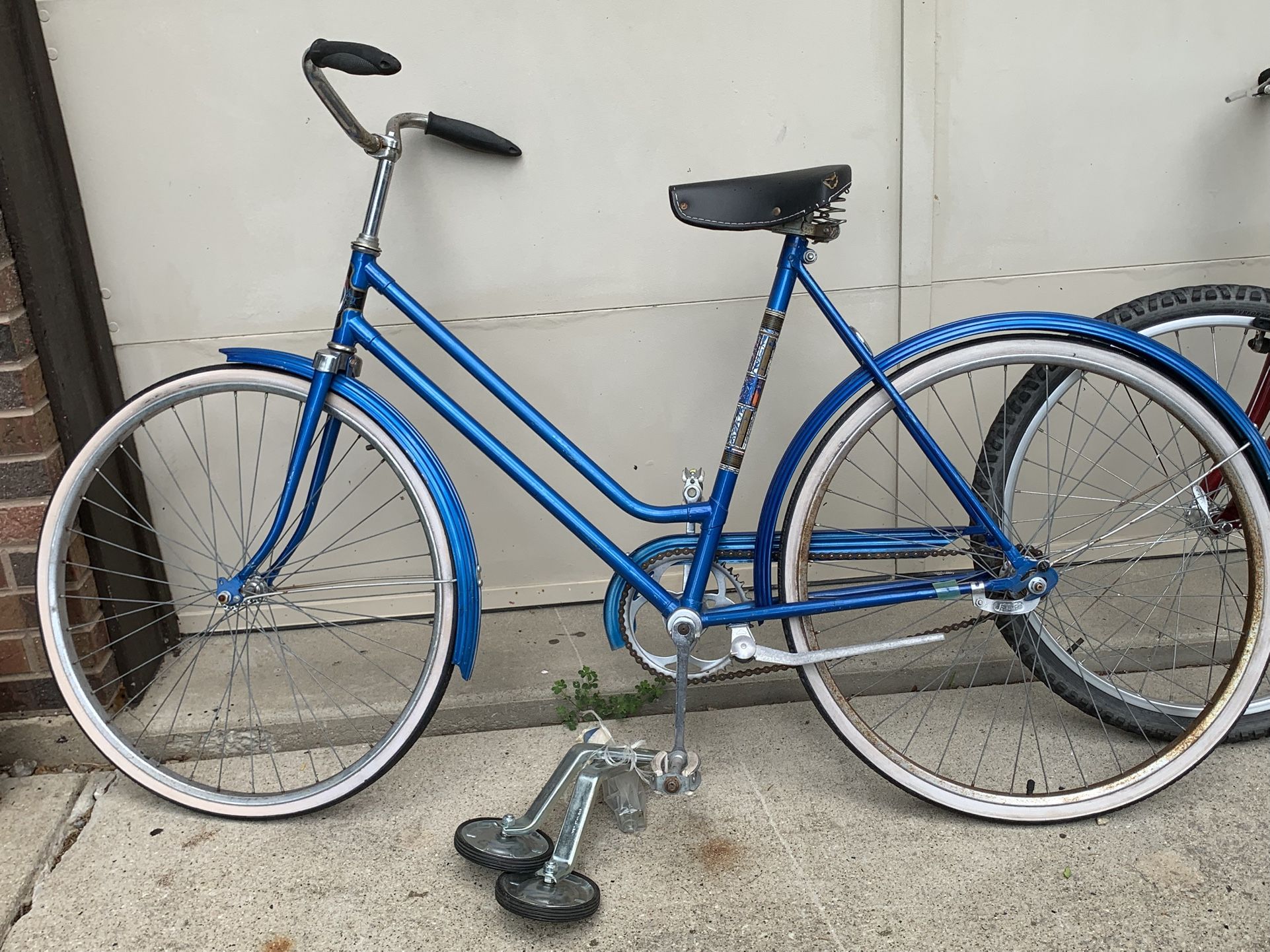 Women’s Bike and Training Wheel