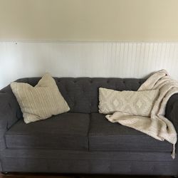 Designer Couch With Pull Out Bed 