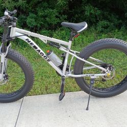FAT TIRE BIKE