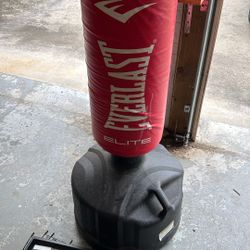 Punching Bag