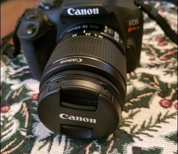 canon t7 video recording