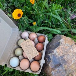 Fresh Eggs Available