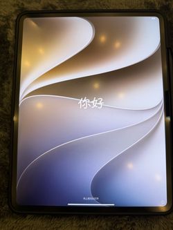 iPad Pro 13 M4 256GB Wifi only