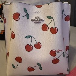 Coach Mollie Bucket 22 With Heart Cherry Print