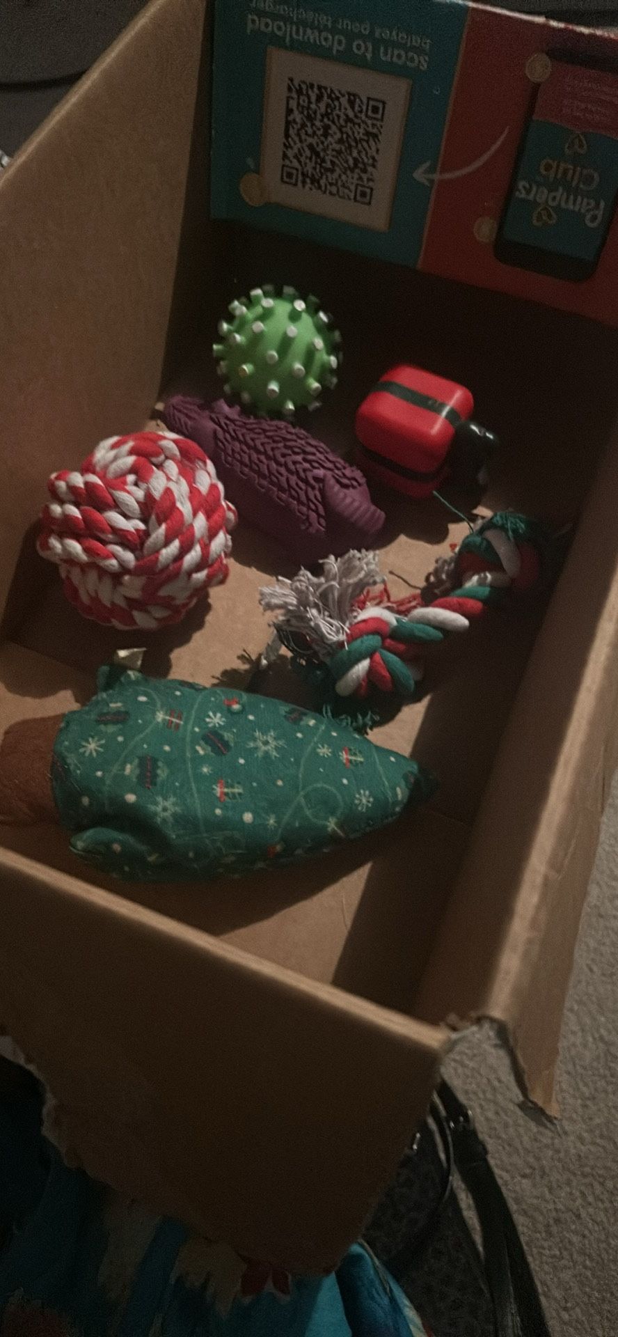 Dog Toys And Dog Bowl