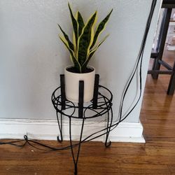 Artificial Plant And Stand