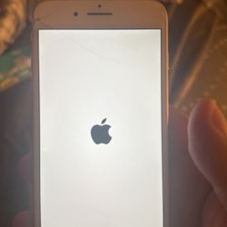 iPhone 6 