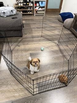 Wired Pet Playpen 