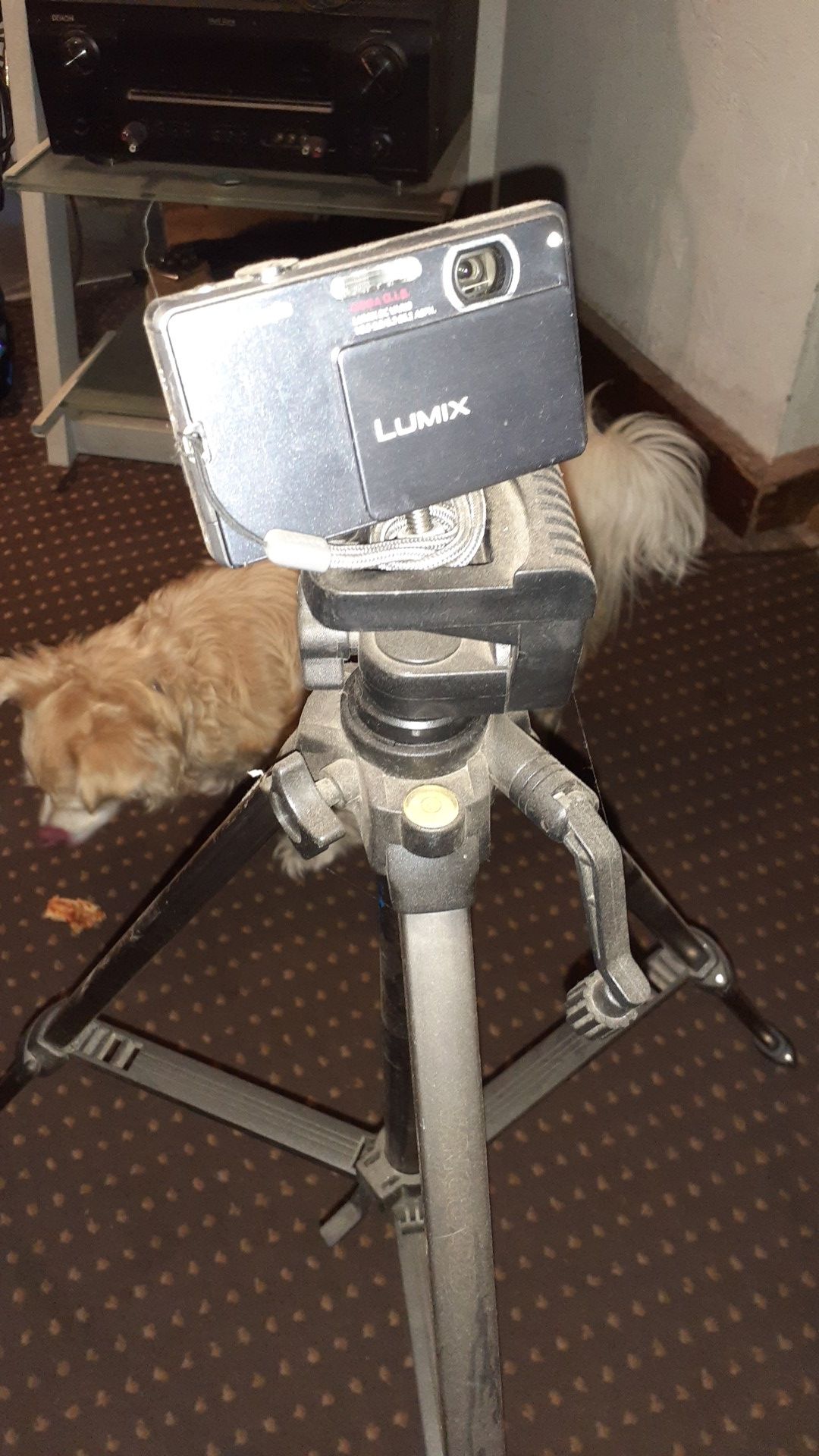 Lumix