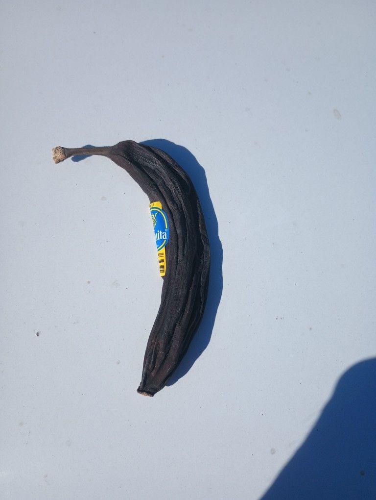 Petrified Banana