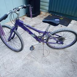 Liv Enchant Mountain Bike 