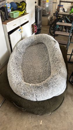 Dog human bed