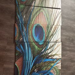 5 Piece Peacock Wall Art Set