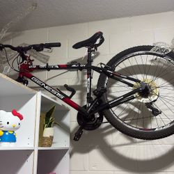 Men’s Bike Rin Number 29