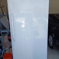 Tall Freezer 