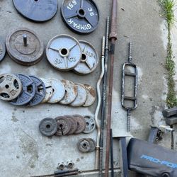 Gym Equipment And Weights 