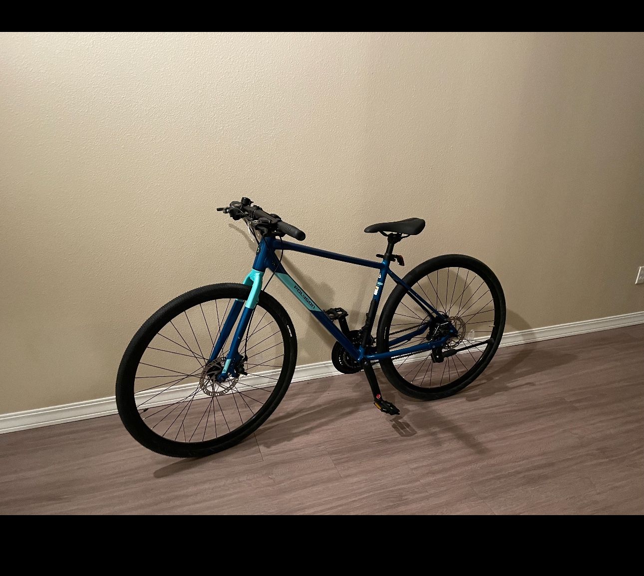 Polygon Path 2 Bike M