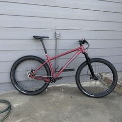 2021 Santa Cruz Chameleon XL SS