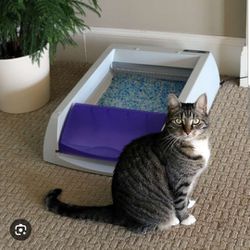 PetSafe ScoopFree Original Self-Cleaning Cat Litter Box

