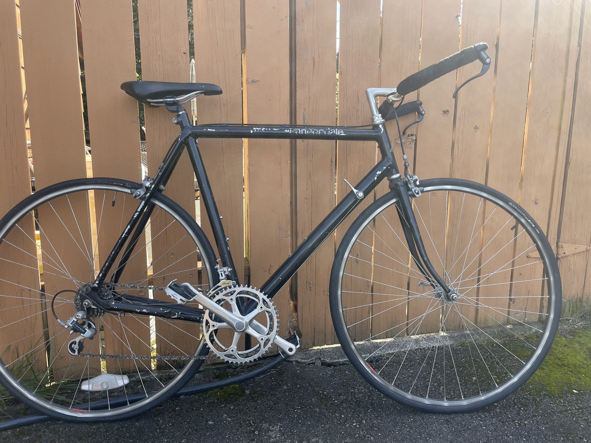 Cannondale 12 Speed