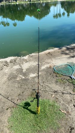 4ft ugly stick