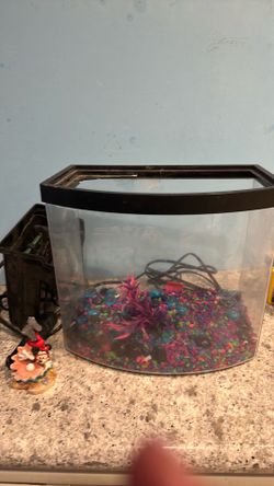 2.5 gal fish tank