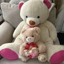Big / small Teddy bear 