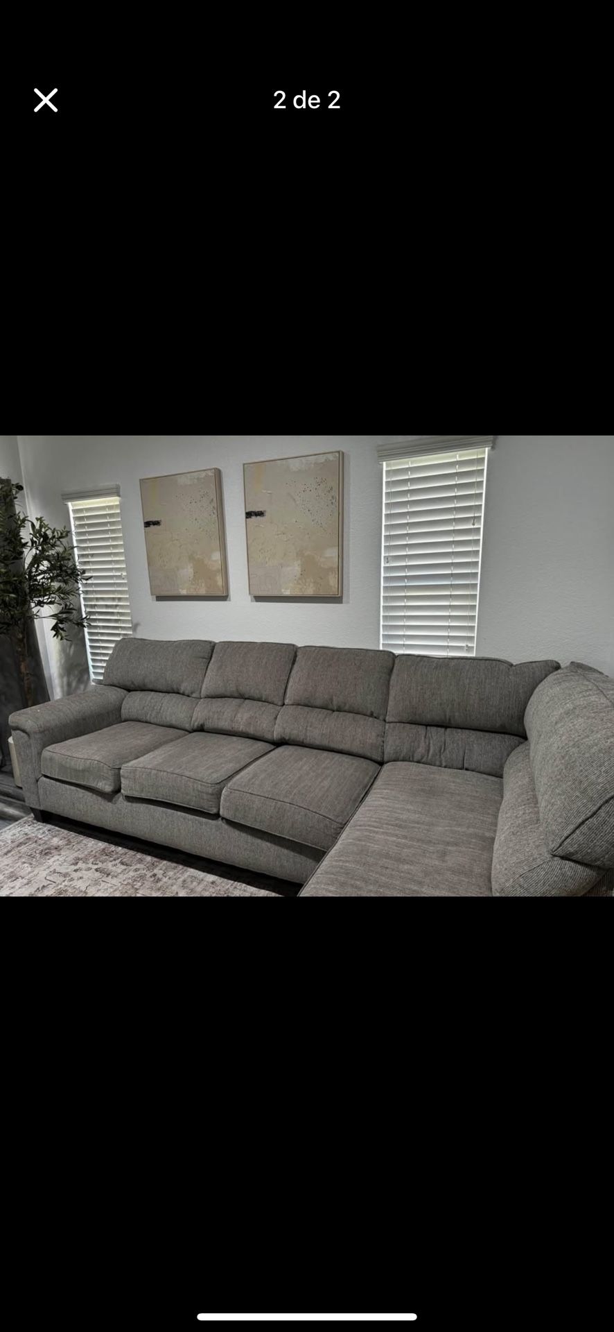Couches