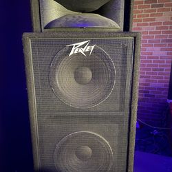 Vintage Peavey SP4’s Pair