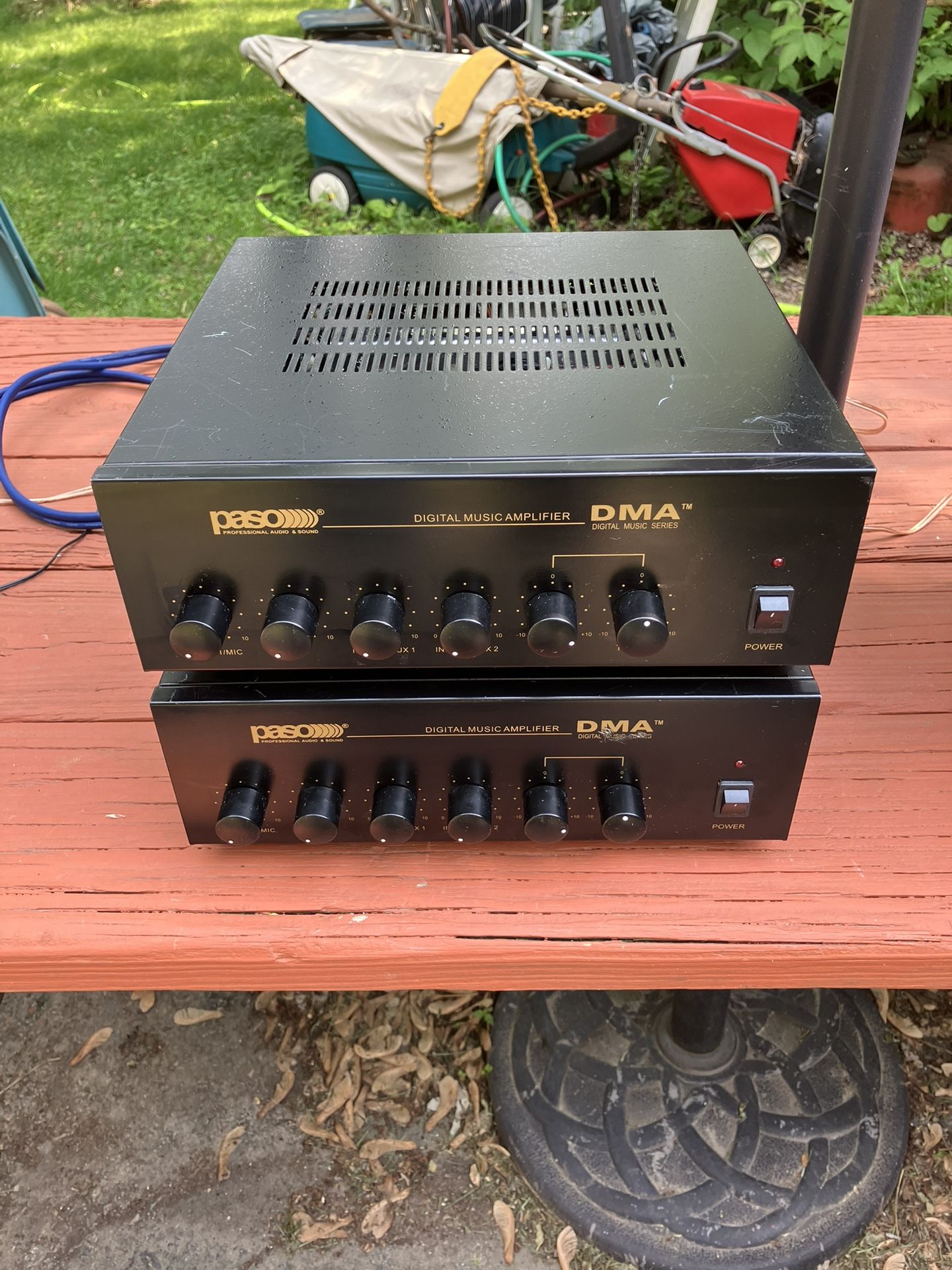 2 Paso Mono Digital Music Amplifiers