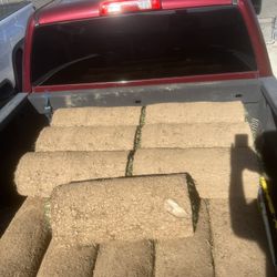 17 Rolls Of Sod  6ft 