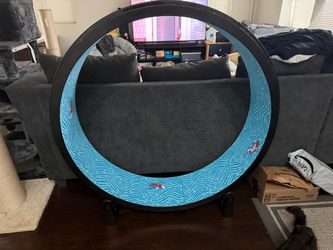 Cat exercise wheel, one fast cat gen 7