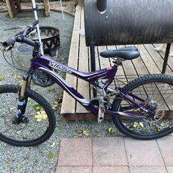 Specialized Mountain Bike 