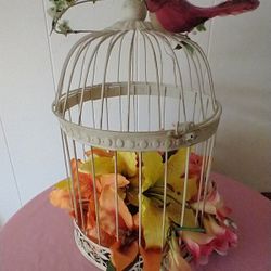 Birdcage Decorative Metal